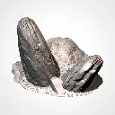 rocky 05 2.webp