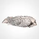 rocky 06 2.webp