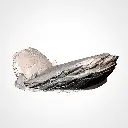 rocky 07 2.webp