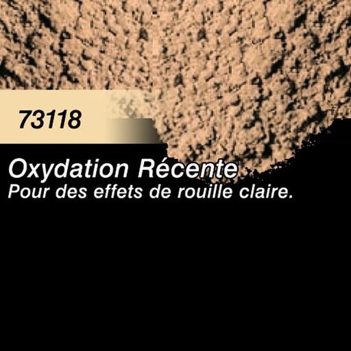 [73118] Pigment Oxydation Récente